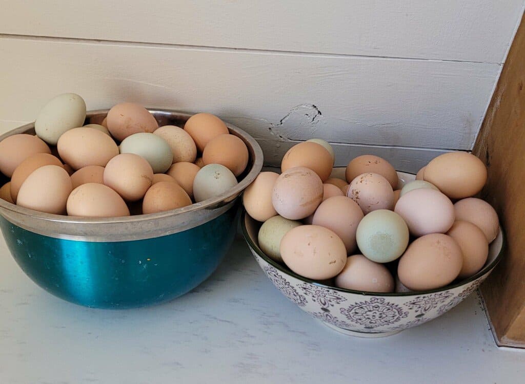large amount of fresh chicken eggs
