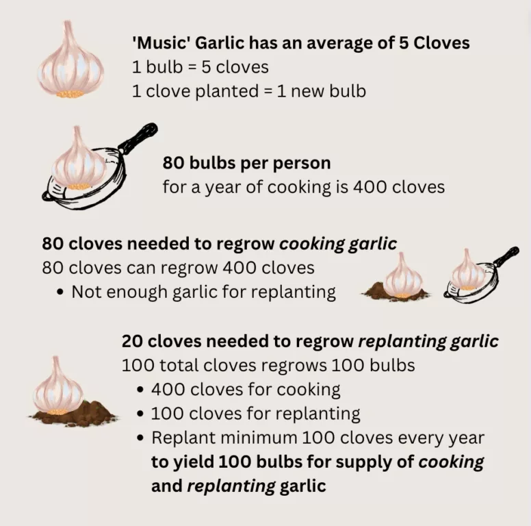 Is 'Garlic Master' worth your money?